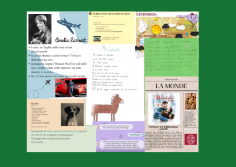 Image of portfolio texts