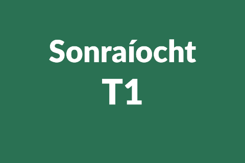 Sonraíocht T1
