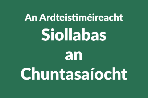 Leaving Certificate Accounting Syllabus button